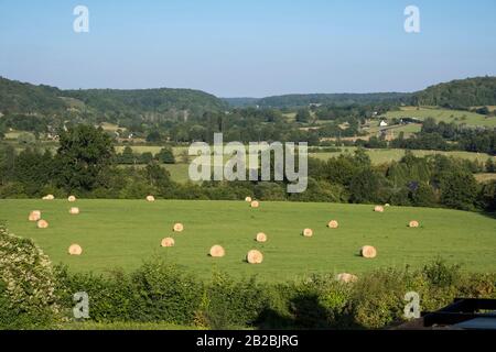 Ländliche Landschaft in Pierrefitte-en-Auge (Nordwestfrankreich) Stockfoto