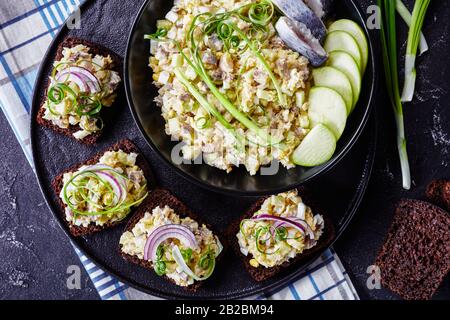 Klassische sowjetischen Küche: Vorspeisen von Hering, grünem apfel, Zwiebel, Essig gemischt mit weicher Butter, die auf Roggenbrottoasten verteilt wird Stockfoto