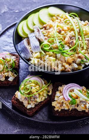 Klassischer jüdischer Forshmak oder Heringsvorspeise aus Heringsfilet, grünem apfel, Zwiebel, gemischt mit weicher Butter, die auf Roggenbrot verteilt wird Stockfoto