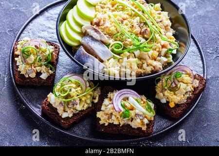 Authentischer jüdischer Forshmak aus gehacktem Heringsfilet, grünem apfel, Zwiebel, gekochten Eiern, gemischt mit weicher Butter, verteilt auf Roggenbrotkröten, serviert auf einem B. Stockfoto