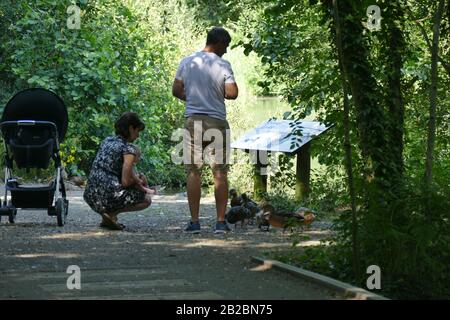 Eine junge Familie, die die Enten am Stover Lake, dem Newton-Abbot, Devon, Großbritannien füttert Stockfoto