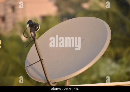 Installiertes Gericht oder DTH oder Direct to Home tv auf dem Dach vor unscharfem Hintergrund, das für den Empfang von Fernsehprogrammen verwendet wird. Stockfoto