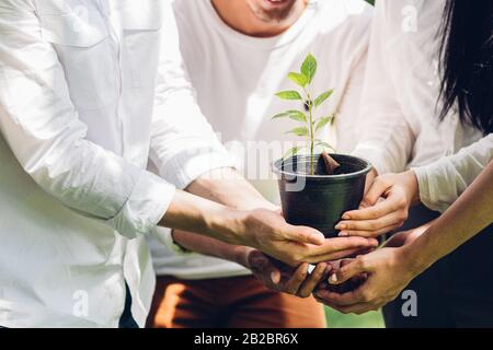 Die Gruppe der Freiwilligen gibt sich die Hände, die Baumseedling im Park Pflanzen. Weltumwelttag und nachhaltige Ressourcen, ehrenamtliche Wohltätigkeitsarbeit Konzept. Stockfoto