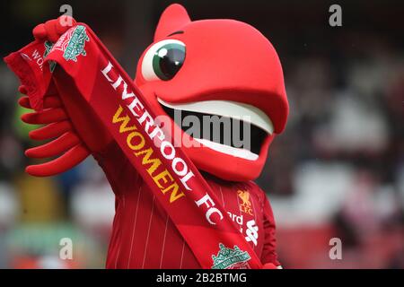 Das Vereinsmaskottchen des FC Liverpool hält während des FA Women's Super League Matches in Anfield, Liverpool, den Schal Der Frauen. Stockfoto