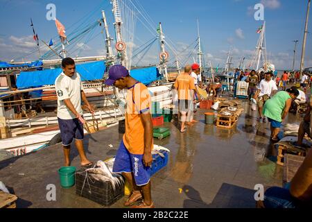 Boote vor dem Markt Ver-o-Peso, Fluss, Belém, Pará, Brasilien Stockfoto