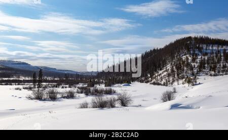 Winterlandschaft in Yakutia. Chulmakan River Valley in South Yakutia, Russland Stockfoto