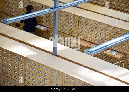 Bibliothekar unter Holzschränken mit Aktenschrank in der Bibliothek. Stockfoto
