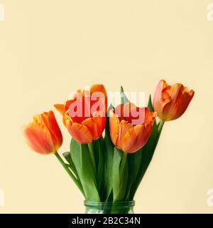 Blumenstrauß mit Tulpen in orange und satten roten Farben auf gelbem Hintergrund. Frühlings-Konzept, Frauentag, Muttertag, 8. März, die Weihnachtsgrüße. Stockfoto