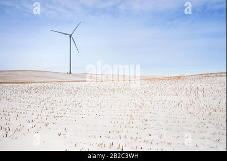 Winterblick auf Windenergieanlagen auf einem landwirtschaftlichen Gebiet in der Nähe der Stadt Rosebud, Alberta, Kanada Stockfoto