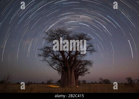 Bei startrail Baines Campingplatz Stockfoto
