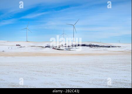 Winterblick auf Windenergieanlagen auf einem landwirtschaftlichen Gebiet in der Nähe der Stadt Rosebud, Alberta, Kanada Stockfoto