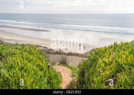 Blick auf den Torrey Pines State Beach an einem Winternachmittag. La Jolla, CA, USA. Stockfoto