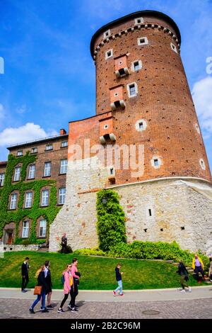 Schloss Wawel in Krakau Polen König Casimir EU Europa UNESCO Stockfoto