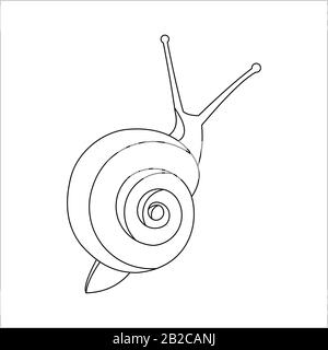 Schnecke Für das Malbuch für Kinder und Erwachsene, Draufsicht. Symbol für Langsamkeit. Moderne flache Vektorgrafiken auf weißem Hintergrund. Stock Vektor