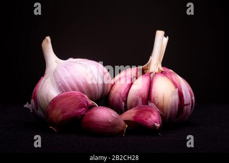 Rote oder violette Knoblauchzähne mit individuellen Zähnen im Studio mit dramatischem hellen und dunklen Hintergrund Stockfoto