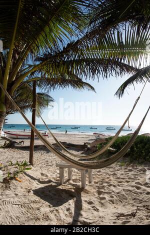 Hängematte Zwischen Palmen Am Tropical Beach in Tulum Mexico Stockfoto