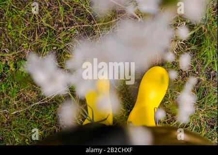 Frau in gelben Stiefeln im Garten. Im Unschärfe-Modus wird der Fokus auf die Stiefel und Blumen an den Zweigen verlagert. Die blühende Jahreszeit der Natur. Kopierbereich.