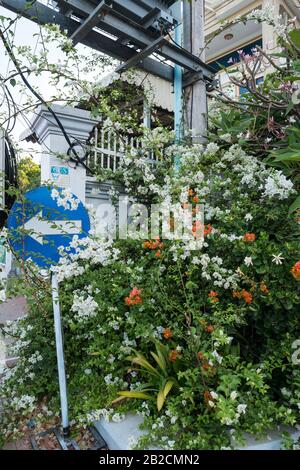 Straße in Kratié, Kambodscha, Asien Stockfoto