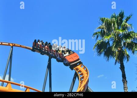 Skorpion Achterbahn. Busch Gardens, Tampa Bay, Florida, USA. Stockfoto