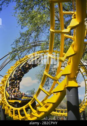 Die Stahlachterbahn aus Python. Busch Gardens, Tampa Bay, Florida, USA. Oktober 2006 geschlossen. Stockfoto