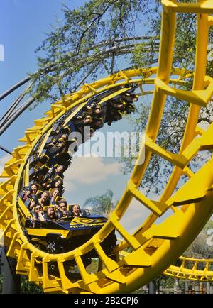 Die Stahlachterbahn aus Python. Busch Gardens, Tampa Bay, Florida, USA. Oktober 2006 geschlossen. Stockfoto