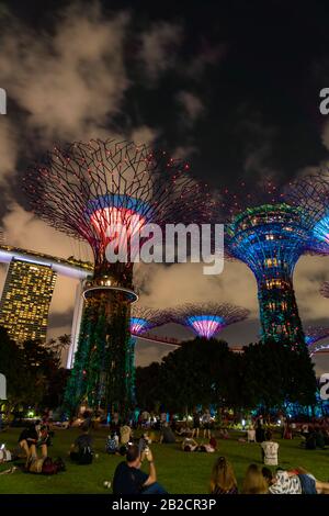 Singapore CITY, SINGAPUR - 14. FEBRUAR 2020: Gärten an der Bucht in Singapur, Einzigartige vertikale Gärten, die hohen Bäumen ähneln, mit großen Vordächern Stockfoto