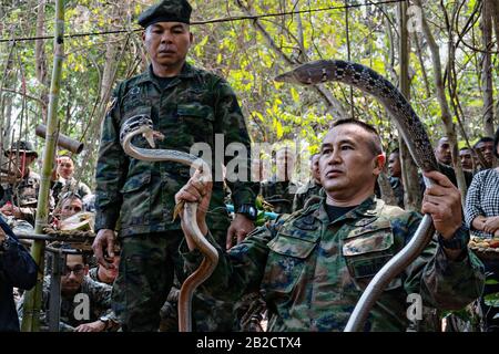 Ban Chan Khrem, Thailand. März 2020. Royal Thai Marine CPO First Class Pairoj Prasarnsai zeigt, wie man mit einer King-Kobra als Teil des Jungle-Überlebenstrainings während der Übung Cobra Gold 2020 2. März 2020 in Ban Chan Khrem, Chanthaburi, Thailand umgehen kann. Die Marines lernten grundlegende Fähigkeiten, die für das Überleben in einer Dschungelumgebung erforderlich sind, wie z. B. das Anzünden eines Feuers, das Essen von Pflanzen und alternative Möglichkeiten, um hydriert zu bleiben. Credit: Nicolas Cholula/Planetpix/Alamy Live News Credit: Planetpix/Alamy Live News Stockfoto