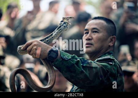 Ban Chan Khrem, Thailand. März 2020. Royal Thai Marine CPO First Class Pairoj Prasarnsai behandelt eine Königskobra als Teil des Jungle Survival Trainings während der Übung Cobra Gold 2020 2. März 2020 in Ban Chan Khrem, Chanthaburi, Thailand. Die Marines lernten grundlegende Fähigkeiten, die für das Überleben in einer Dschungelumgebung erforderlich sind, wie z. B. das Anzünden eines Feuers, das Essen von Pflanzen und alternative Möglichkeiten, um hydriert zu bleiben. Kredit: Jordan E. Gilbert/Planetpix/Alamy Live News Credit: Planetpix/Alamy Live News Stockfoto