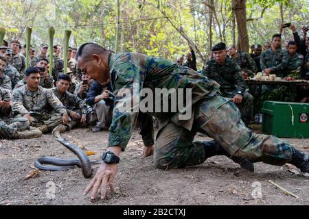 Ban Chan Khrem, Thailand. März 2020. Royal Thai Marine CPO First Class Pairoj Prasarnsai zeigt, wie man mit einer King-Kobra als Teil des Jungle-Überlebenstrainings während der Übung Cobra Gold 2020 2. März 2020 in Ban Chan Khrem, Chanthaburi, Thailand umgehen kann. Die Marines lernten grundlegende Fähigkeiten, die für das Überleben in einer Dschungelumgebung erforderlich sind, wie z. B. das Anzünden eines Feuers, das Essen von Pflanzen und alternative Möglichkeiten, um hydriert zu bleiben. Credit: Nicolas Cholula/Planetpix/Alamy Live News Credit: Planetpix/Alamy Live News Stockfoto