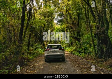 Straße zum Lake Mahinapua Scenic Reserve, einheimischer Busch in der Nähe der Stadt Hokitika, West Coast Region, South Island, Neuseeland Stockfoto