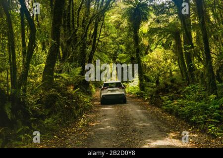 Straße zum Lake Mahinapua Scenic Reserve, einheimischer Busch in der Nähe der Stadt Hokitika, West Coast Region, South Island, Neuseeland Stockfoto