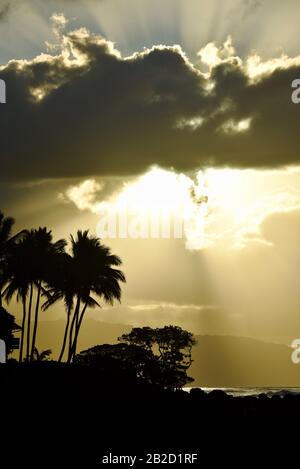 Dramatischer Sonnenuntergang, mit durchdringenden Wolken von Sonnenstrahlen, silhouettierten Palmen an der Küstenlinie am Nordufer von Oahu, Haleiwa, Hawaii, USA Stockfoto