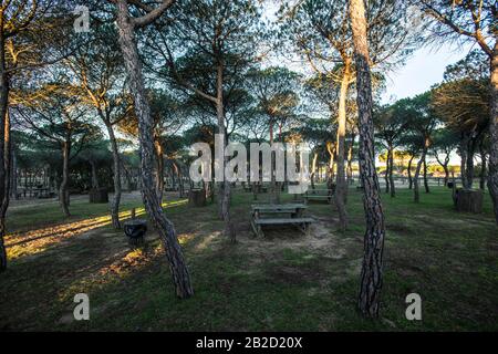 El Acebuche Besucherzentrum in Doñana Stockfoto