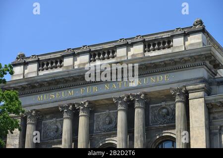 Museum Fuer Naturkunde, Invalidenstraße, Mitte, Berlin, Deutschland Stockfoto