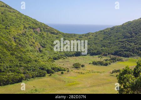 Reserva florestal de Recreio do Monte Brasil. Blick auf die grüne Heels. Terceira, Azoren Portugal. Stockfoto