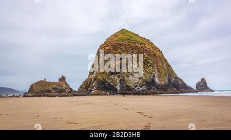 Heuhaufen Felsen bei Ebbe, Cannon Beach, Oregon Stockfoto