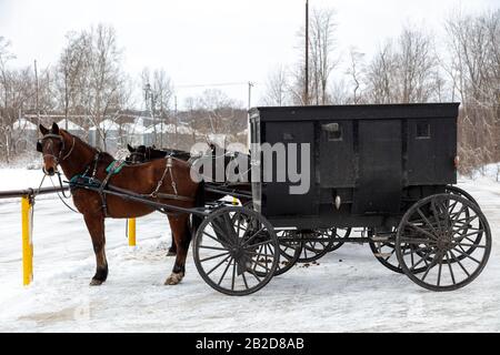 Amish Buggies geparkt im lokalen Lebensmittelgeschäft, Northern Indiana, USA von James D Coppinger/Dembinsky Photo Assoc Stockfoto