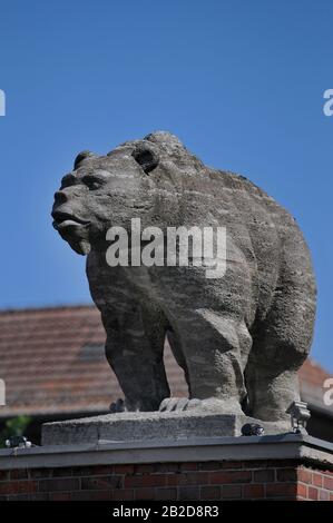 Berliner Bär, Eichenstrasse, Treptow, Berlin, Deutschland Stockfoto