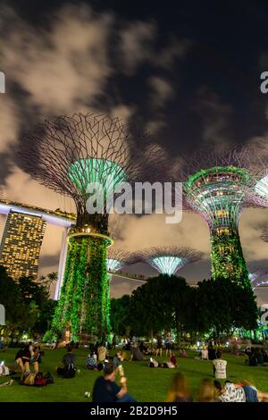 Singapore CITY, SINGAPUR - 14. FEBRUAR 2020: Gärten an der Bucht in Singapur, Einzigartige vertikale Gärten, die hohen Bäumen ähneln, mit großen Vordächern Stockfoto