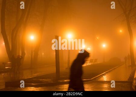 Am Abend Menschen in einem nebligen Park. Kiew, Ukraine Stockfoto