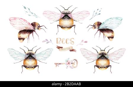 Set von leuchtenden Bienen mit Aquarell. Isoliertes buntes Cartoon-Bier. Insektenschmuck Stockfoto