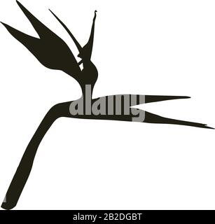 Strelitzia reginae tropisches Südafrika blüht isoliert auf weißem Grund. Vector Illustration.Silhouette Tattoo-Druck, Logo. Vogel des Paradieses. Stock Vektor