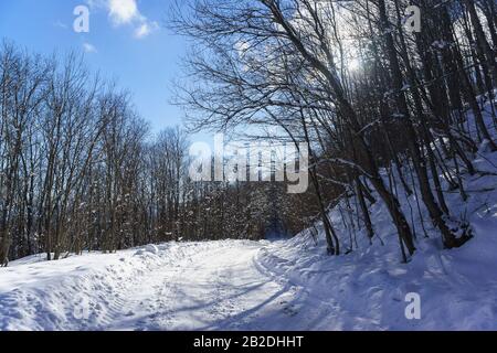 Abbiegung der Winterstraße in einem verschneiten Wald klarer Sonnentag. Russland, Republik Adygea, eine Hochebene von Lago-Naki Stockfoto