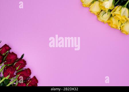 Cute Pink Hintergrund mit diagonalen Ecken von roten Rosen und gelben Rosen. Mit großem Kopierraum für Design, Banner, Rohlinge und Poster. Stockfoto