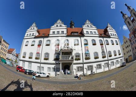 Altes Rathaus, Markt, Lutherstadt Wittenberg, Sachsen-Anhalt, Deutschland Stockfoto