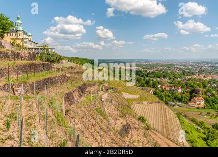 Spitzhaus ein Wahrzeichen im Jahre 1622 an die Weinberge von Radebeul bei Dresden gebaut, Deutschland Stockfoto