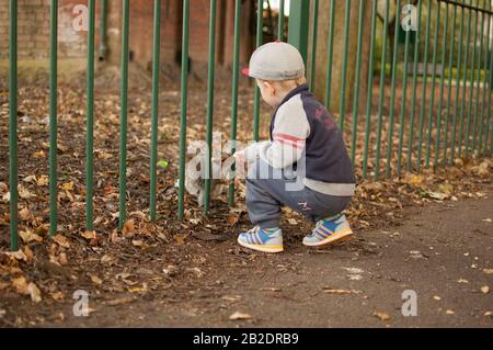 Kind füttert ein Eichhörnchen im lokalen Park durch den Zaun Stockfoto