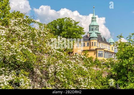 Spitzhaus ein Wahrzeichen im Jahre 1622 an die Weinberge von Radebeul bei Dresden gebaut, Deutschland Stockfoto