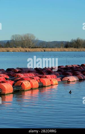 Typischer Blick auf den Trasimeno See, den größten des mittelitaliens Stockfoto