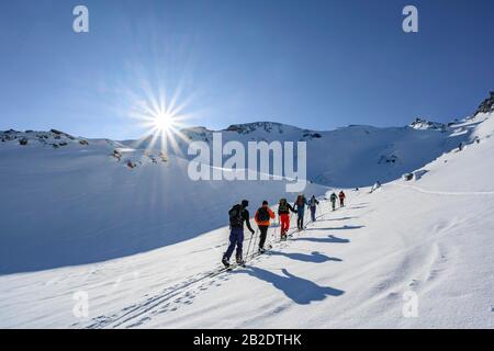 Skitourer im Winter, Sonnenschein und blauer Himmel, Aufstieg zur Geierspitze, Wattentaler Lizum, Tux-Alpen, Tyrol, Österreich Stockfoto